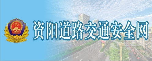 老逼视频网操资阳道路交通安全网